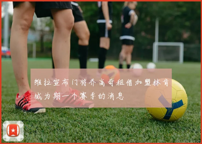 维拉宣布门将乔高奇租借加盟林肯城为期一个赛季的消息