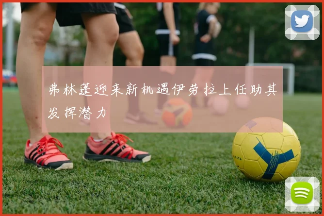 弗林蓬迎来新机遇伊劳拉上任助其发挥潜力