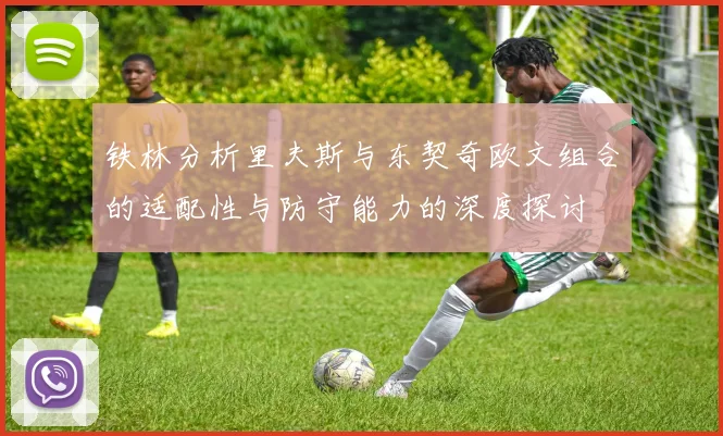 铁林分析里夫斯与东契奇欧文组合的适配性与防守能力的深度探讨